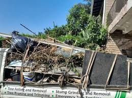 Same-Day Junk Removal Services in Homer, MI