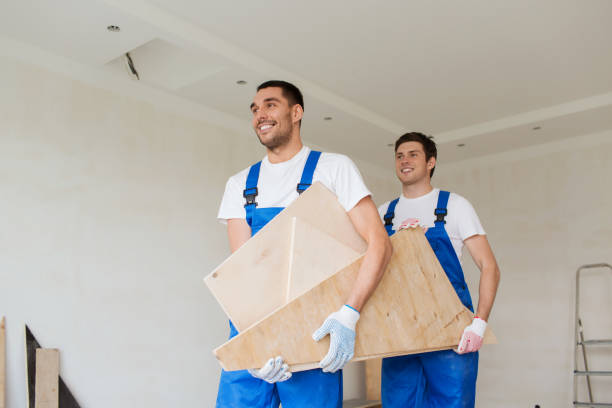 Best Shed Removal  in Homer, MI