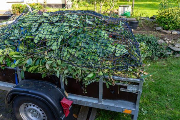 Best Estate Cleanout  in Homer, MI